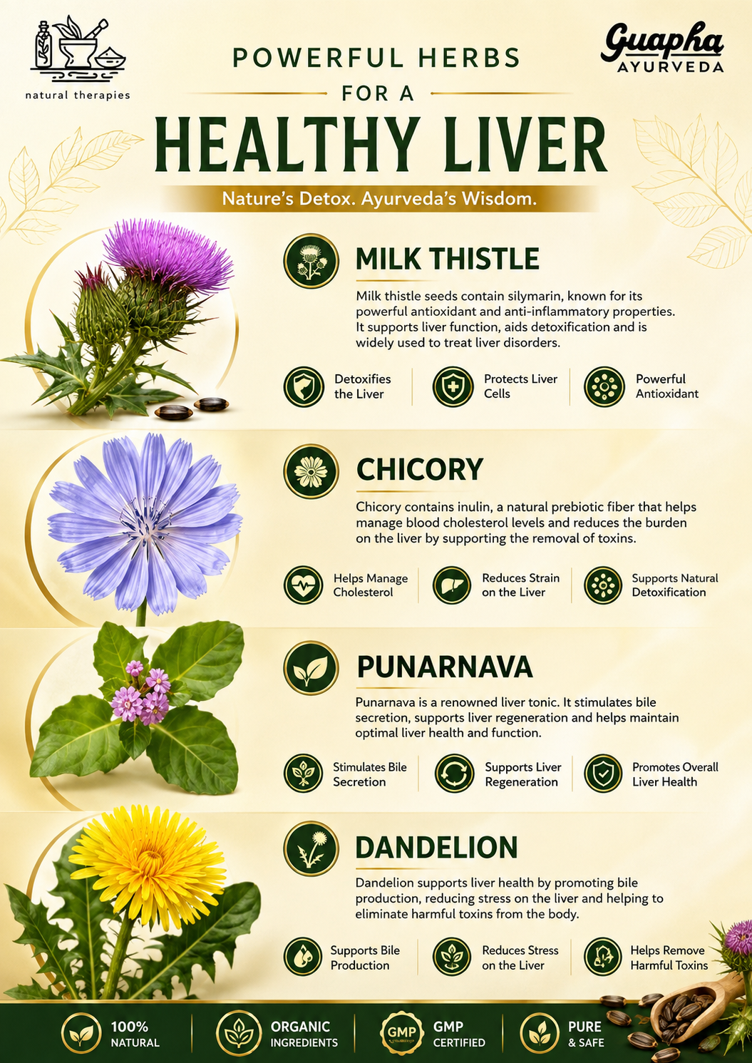 Guapha Ayurveda Liver Wellness | Natural Liver Detox | Supports Gallbladder Health | With Herbal Extracts Of Milk Thistle, Chicory, Dandelion, Punarnava, Bhui Amla, Kasni
